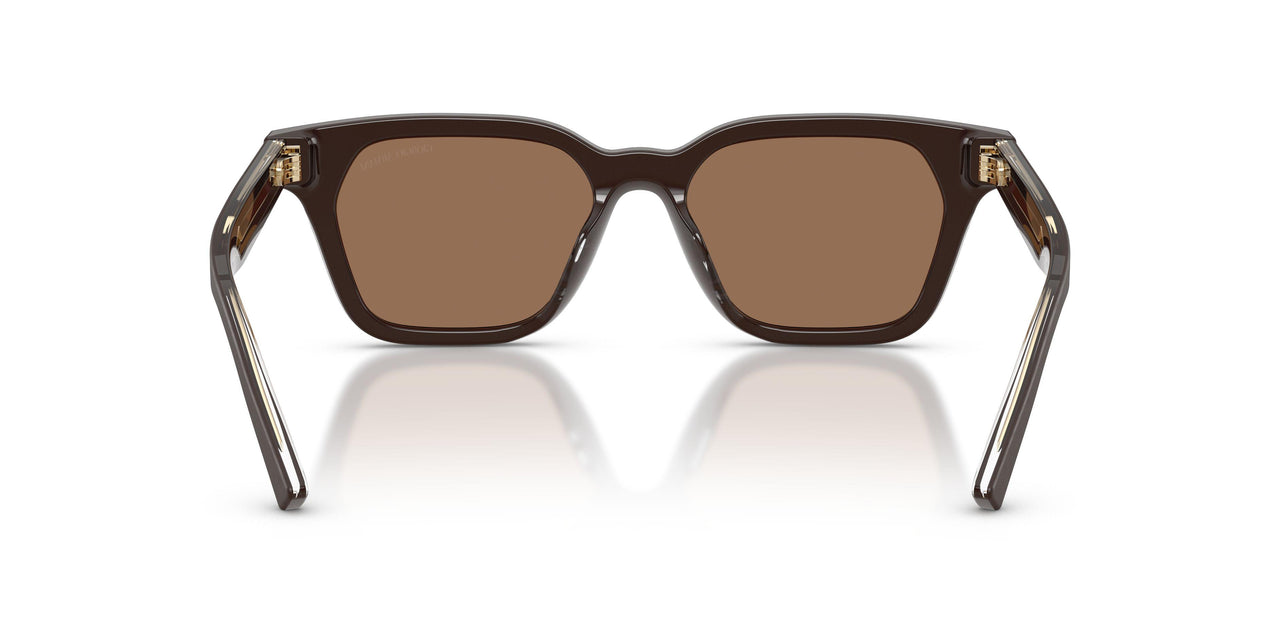 640273 - Brown - Dark Brown