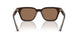 640273 - Brown - Dark Brown