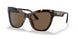 108/73 - Havana - Dark Brown