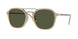 116931 - Brown - Green