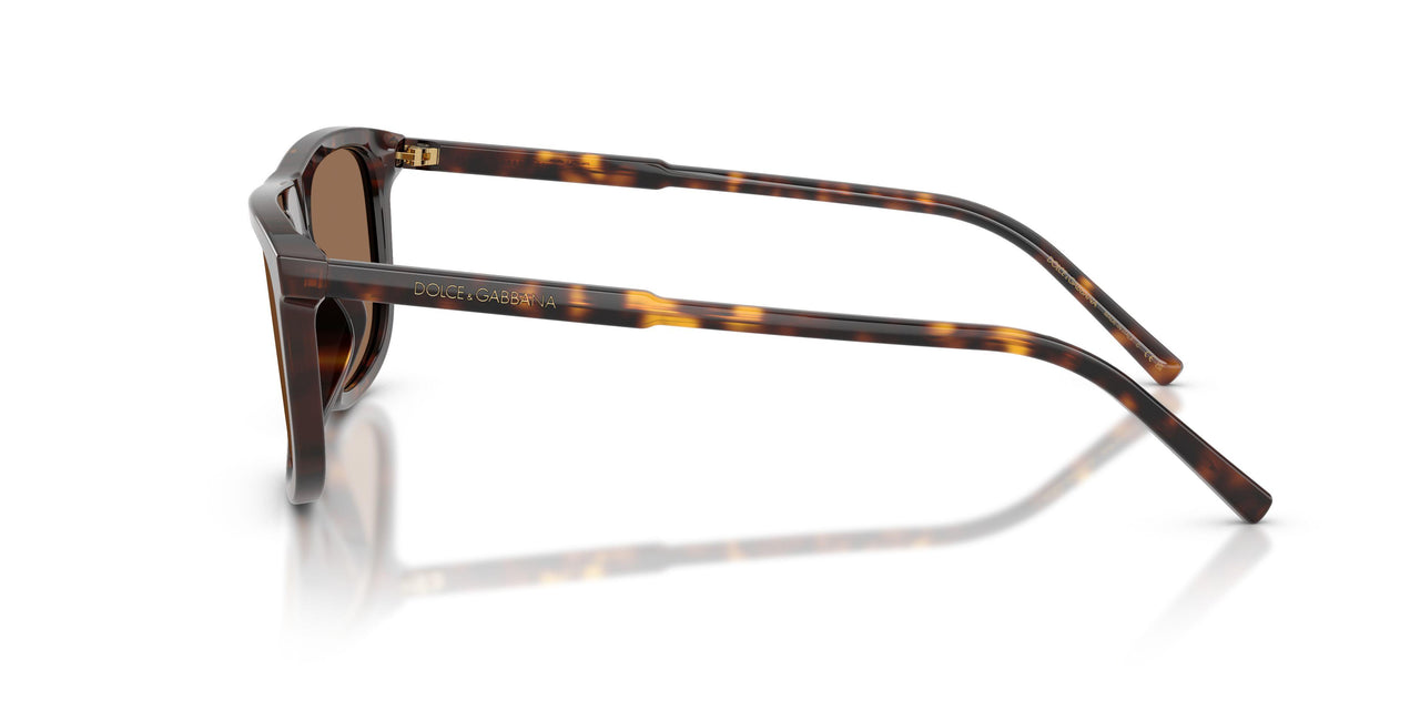 502/73 - Tortoise - Dark Brown