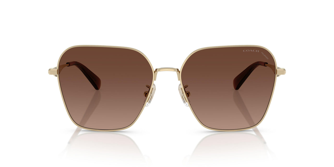 9005T5 - Gold - Brown Gradient Polar