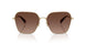 9005T5 - Gold - Brown Gradient Polar