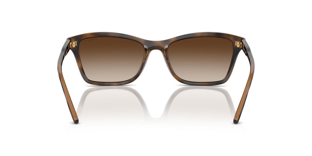 238613 - Brown - Brown Gradient