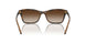 238613 - Brown - Brown Gradient