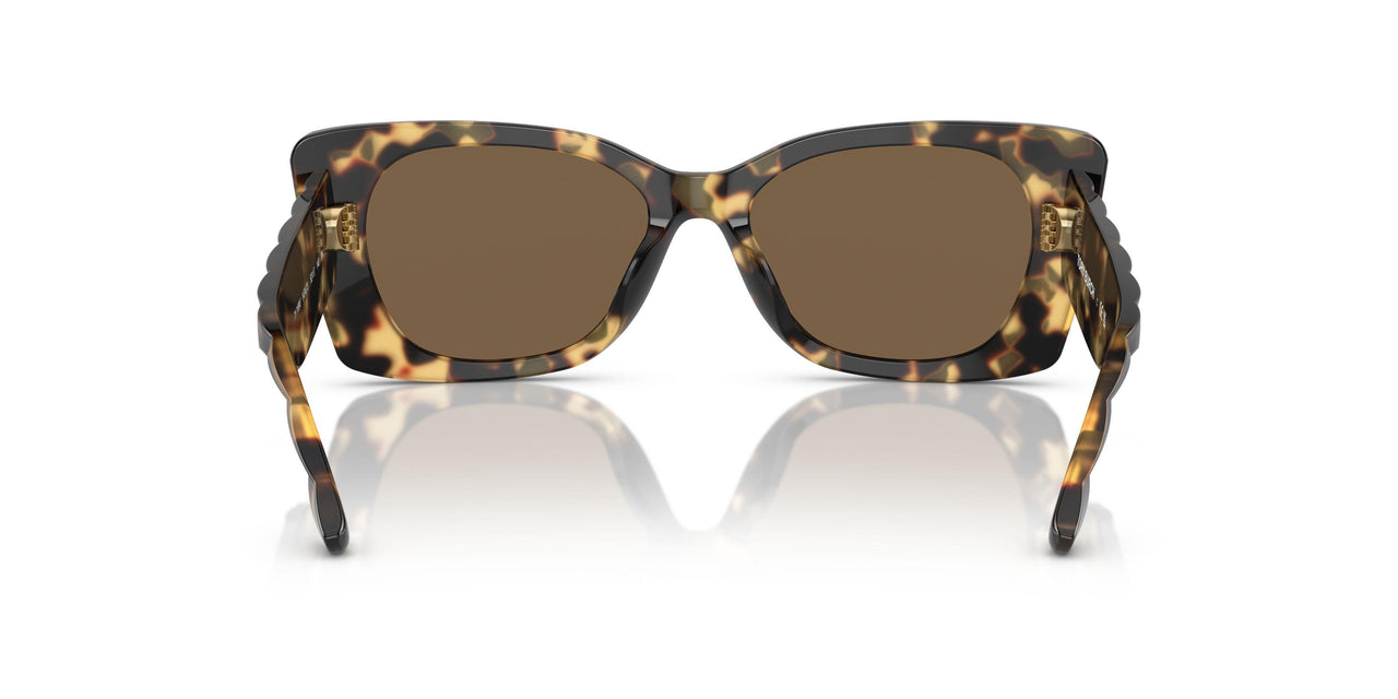 147473 - Tortoise - Solid Brown