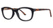 BLCKTRTSMTT - Black/Tortoise Matte