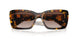 VAU6S1 - Tortoise - Brown Gradient