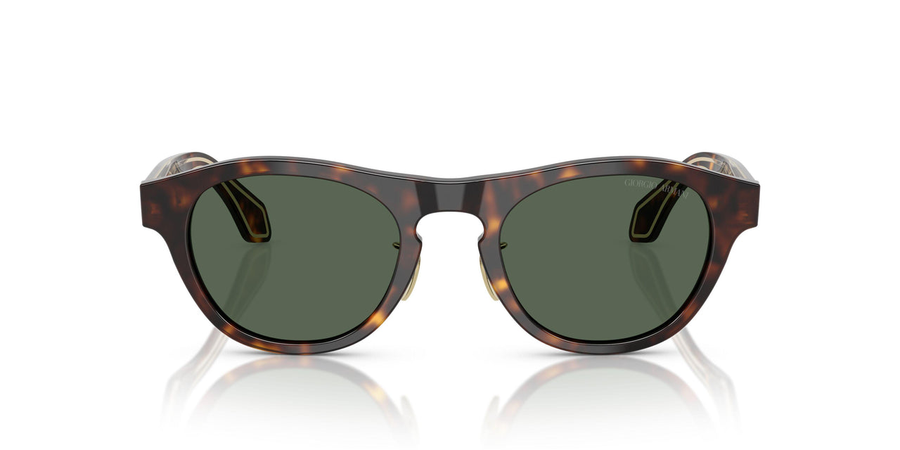 502671 - Tortoise - Dark Green