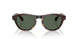 502671 - Tortoise - Dark Green