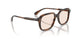 1794 - Brown