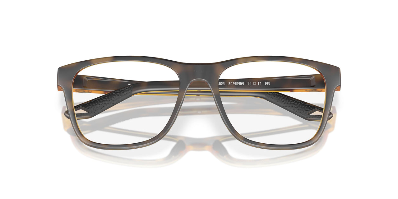 802404 - Tortoise