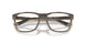 802404 - Tortoise
