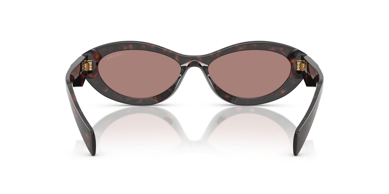 17N60B - Tortoise - Light Brown