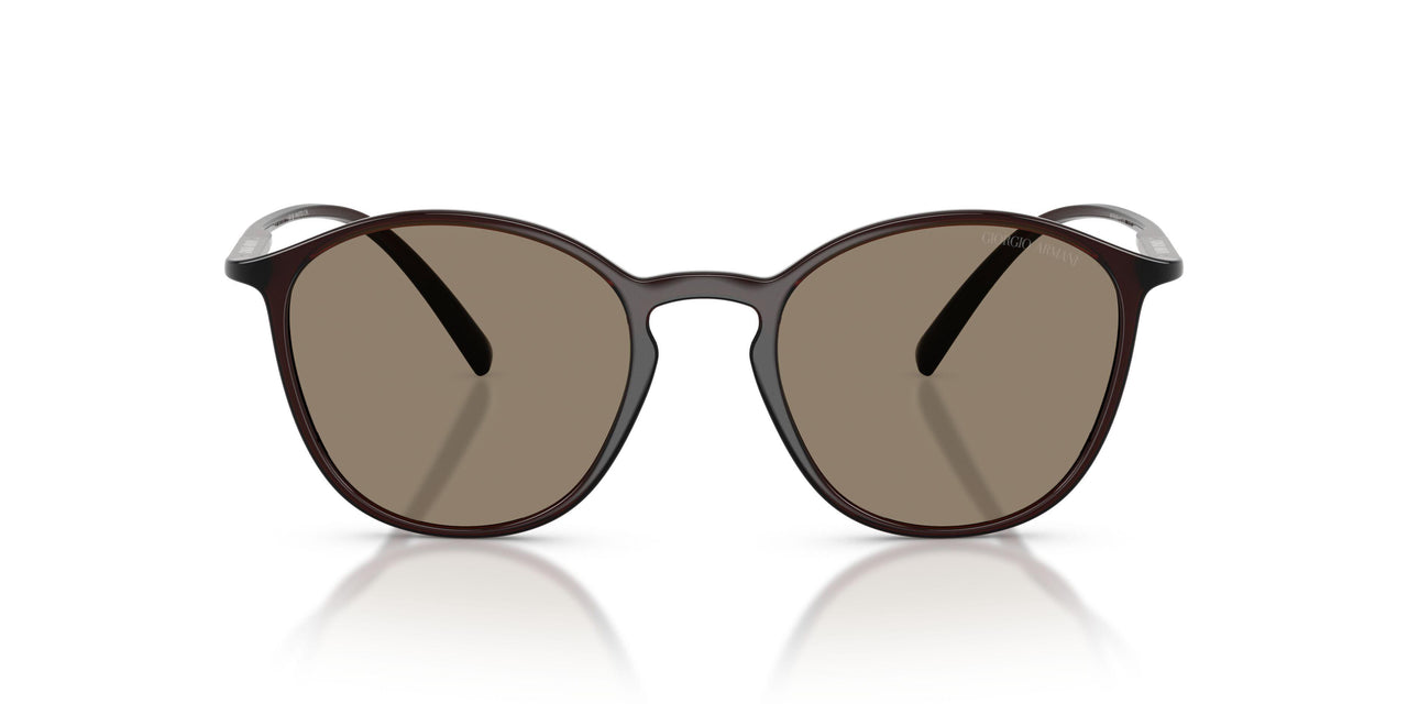 6239M4 - Brown - Photochromatic Brown