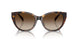 500313 - Tortoise - Gradient Brown