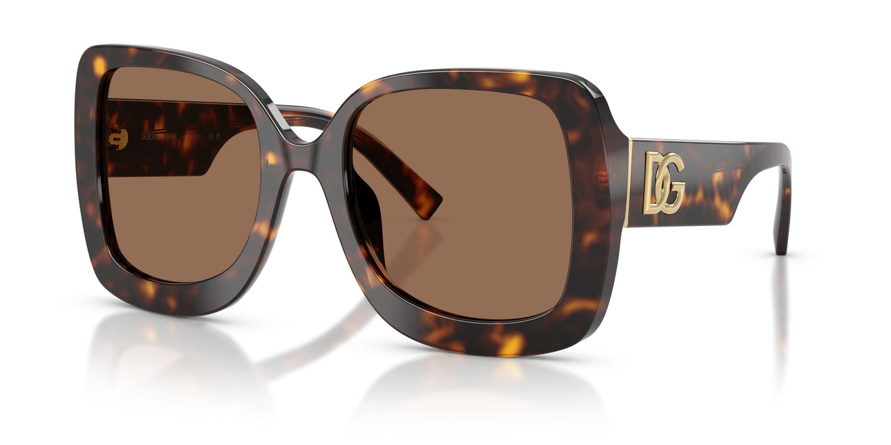 502/73 - Tortoise - Dark Brown