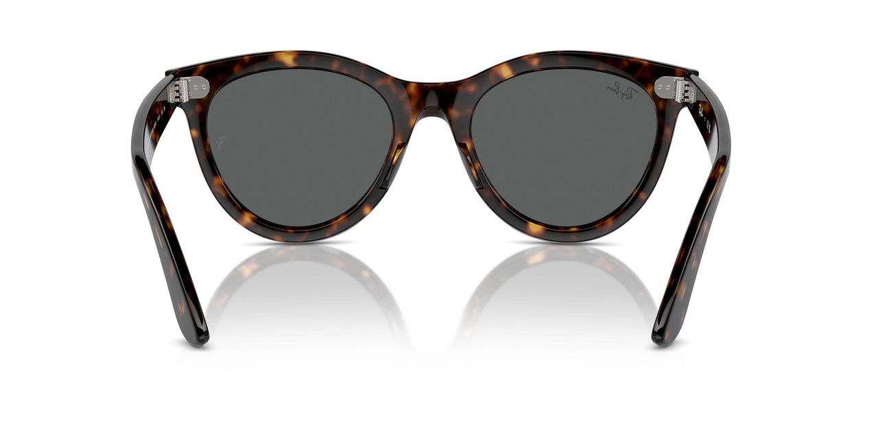 902/B1 - Tortoise - Dark Grey