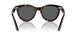 902/B1 - Tortoise - Dark Grey