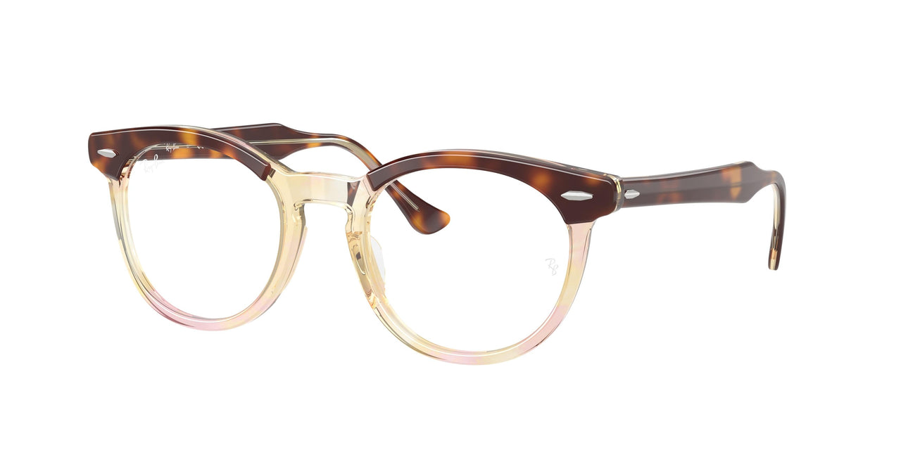 Ray-Ban Eagleeye 5598F Eyeglasses