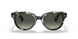 133371 - Havana - Grey Gradient Dark Grey