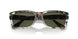 115958 - Brown - Green Polar