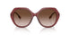 401813 - Bordeaux - Brown Gradient