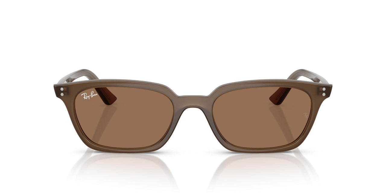 677973 - Brown - Dark Brown