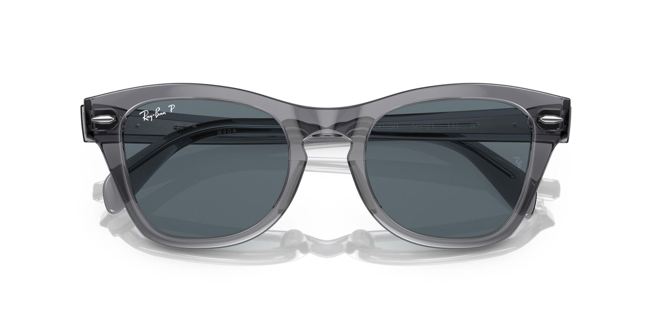 66413R - Grey - Dark Blue Polar
