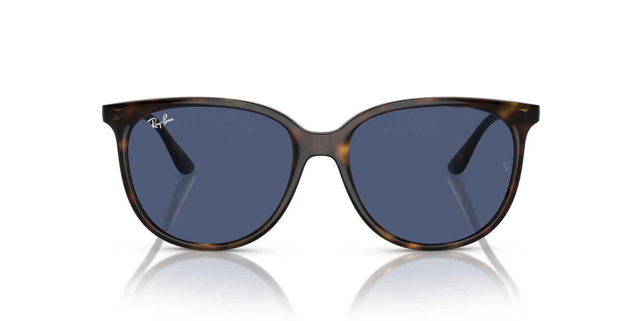 710/80 - Tortoise - Dark Blue