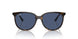 710/80 - Tortoise - Dark Blue