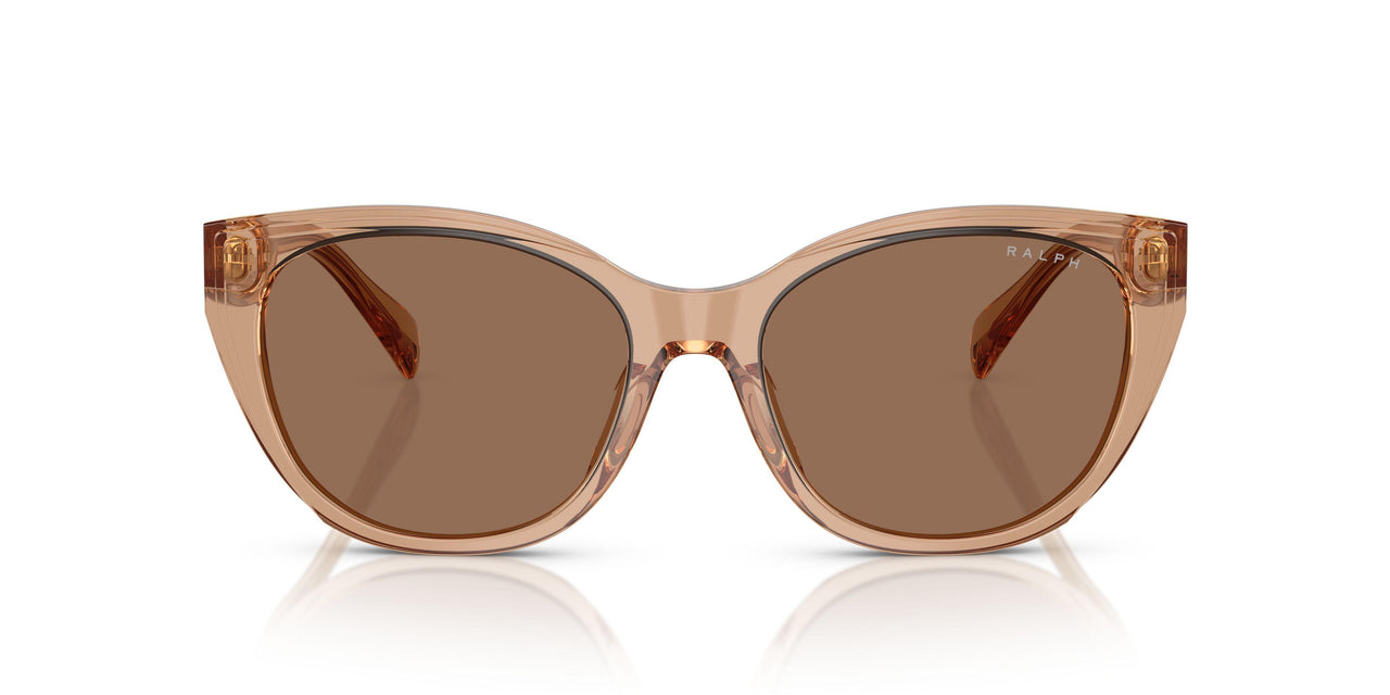 582673 - Brown - Brown