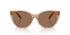 582673 - Brown - Brown