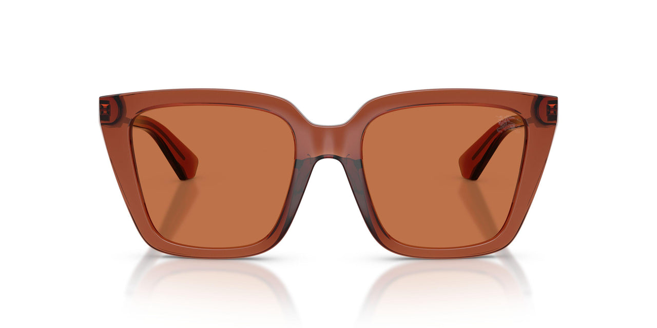 419573 - Brown - Brown