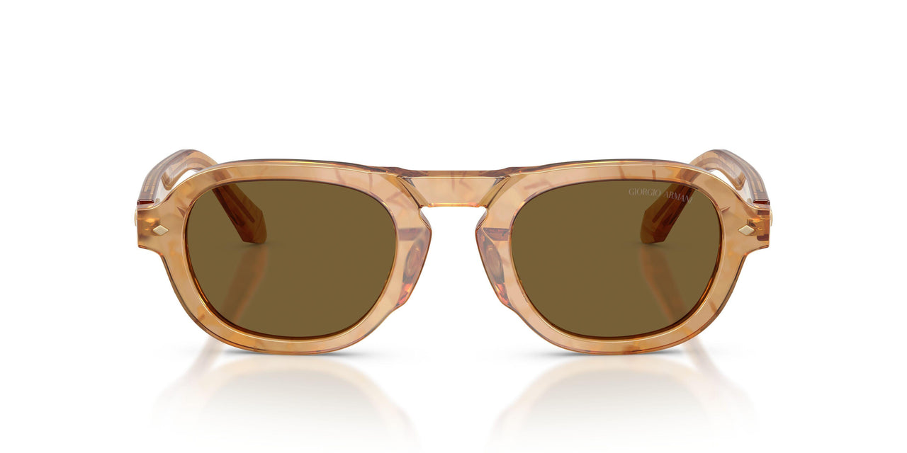 630073 - Tortoise - Dark Brown
