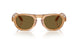 630073 - Tortoise - Dark Brown