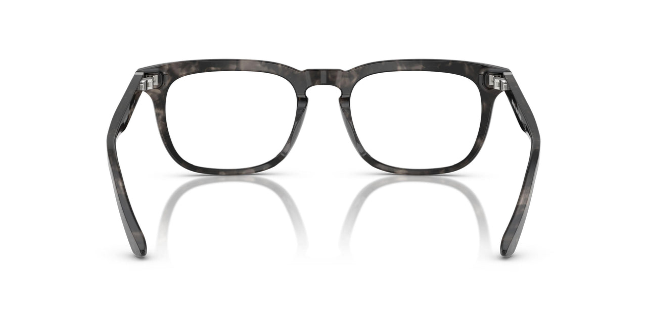6168 - Tortoise