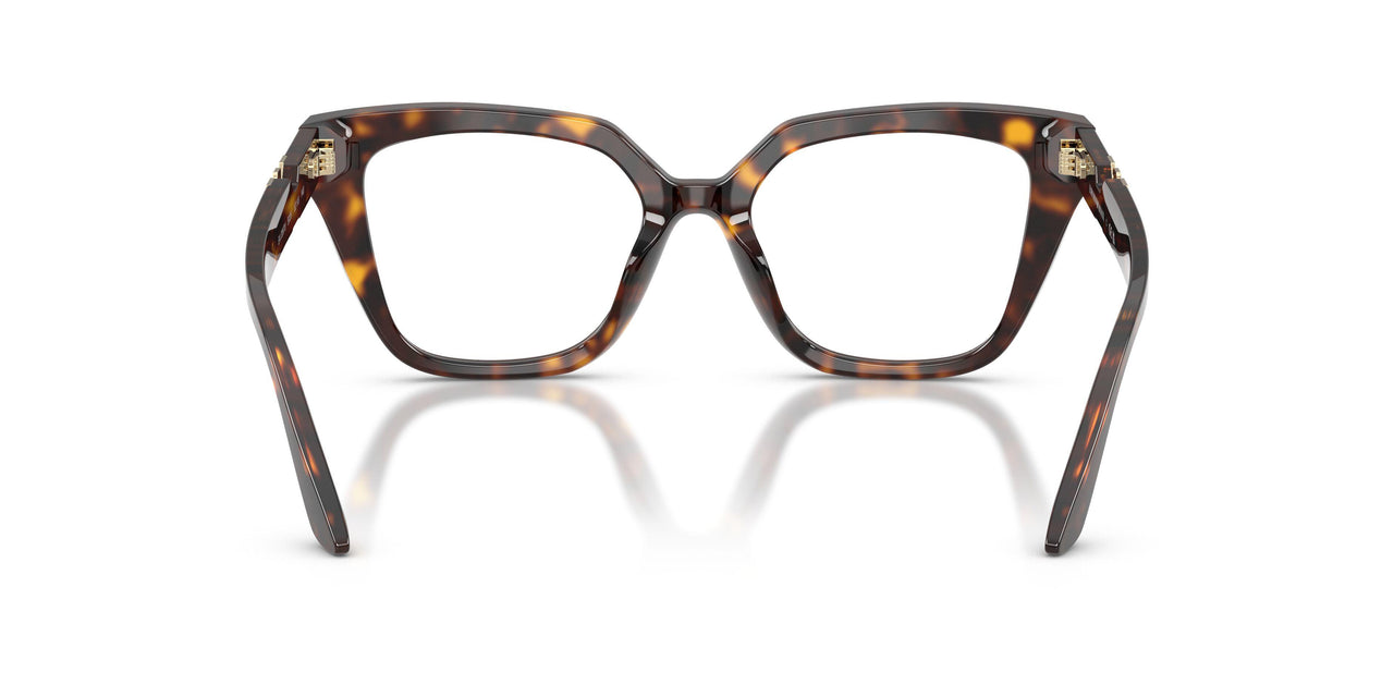 5026 - Tortoise