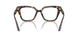 5026 - Tortoise