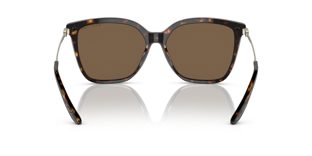 500373 - Havana - Dark Brown