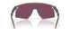 928022 - Brown - Prizm Road Black