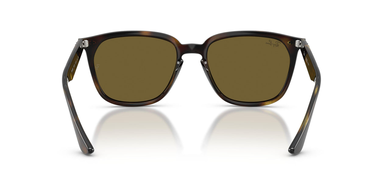 710/73 - Havana - Dark Brown