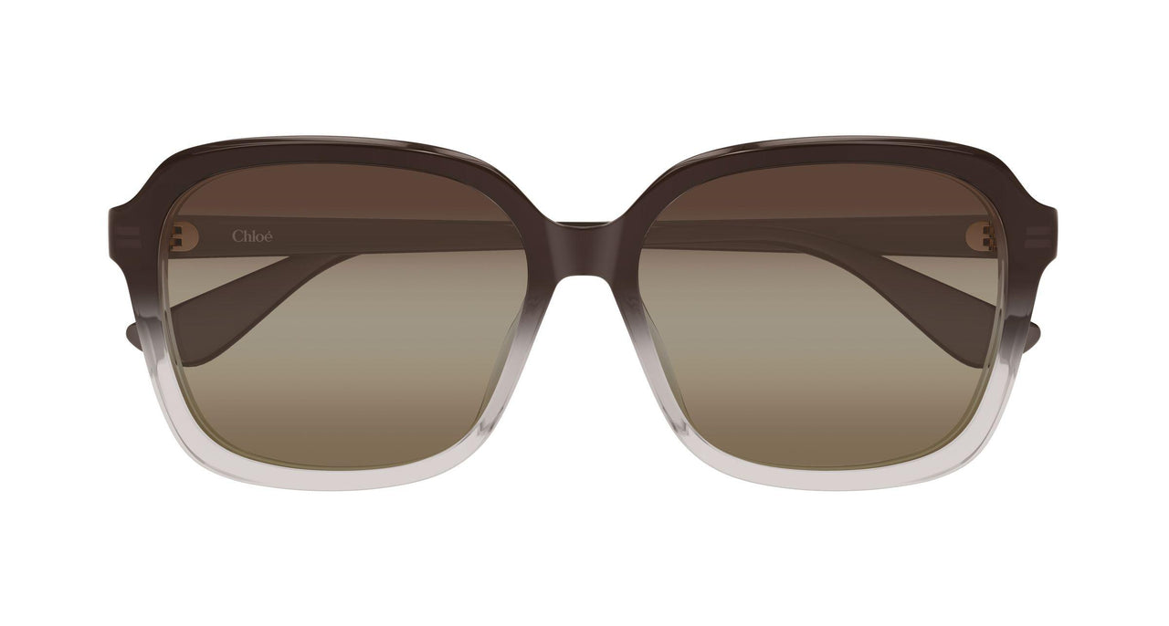 003 - Brown - Brown