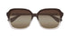 003 - Brown - Brown