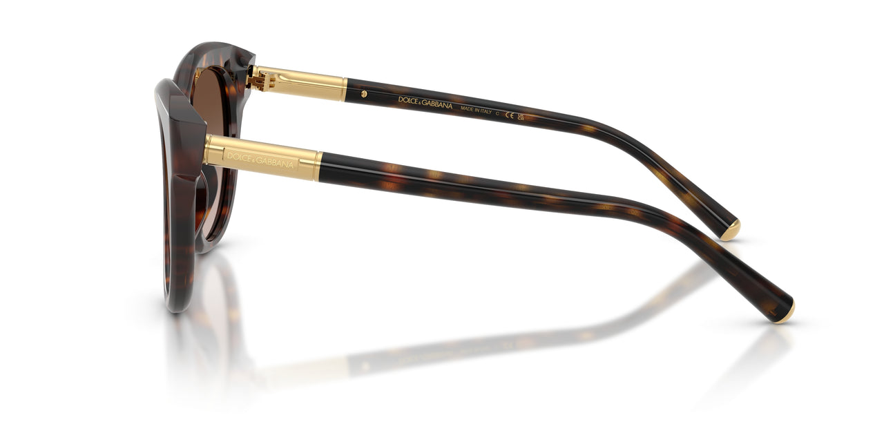 502/13 - Tortoise - Gradient Brown