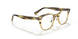 1703 - Brown