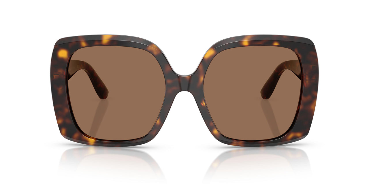 502/73 - Tortoise - Dark Brown