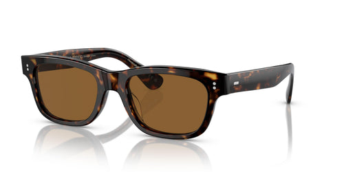 100953 - Tortoise - True Brown
