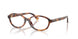 Polo 2311U Eyeglasses