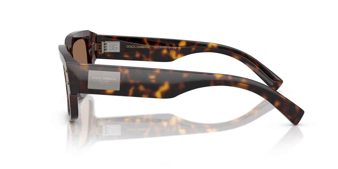 502/73 - Tortoise - Dark Brown